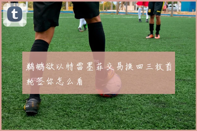 鹈鹕欲以特雷墨菲交易换回三枚首轮签你怎么看