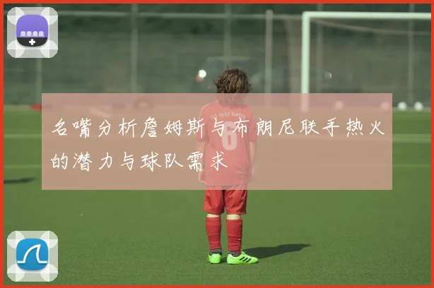 名嘴分析詹姆斯与布朗尼联手热火的潜力与球队需求