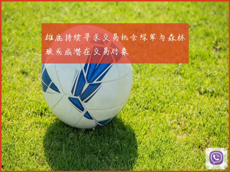 雄鹿持续寻求交易机会绿军与森林狼或成潜在交易对象
