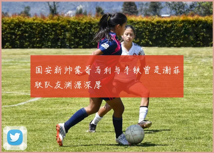 国安新帅蒙哥马利与李铁曾是谢菲联队友渊源深厚
